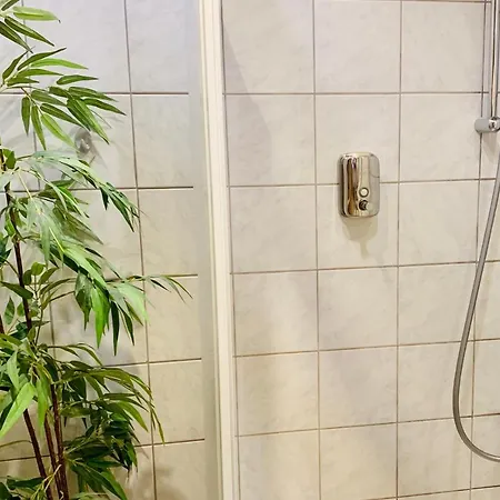 公寓 粉鹿公寓 哈尔施塔特