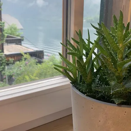 粉鹿公寓 * 哈尔施塔特