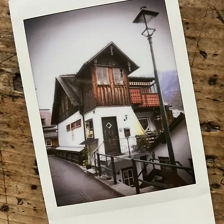 Apartment Pinkdeer *