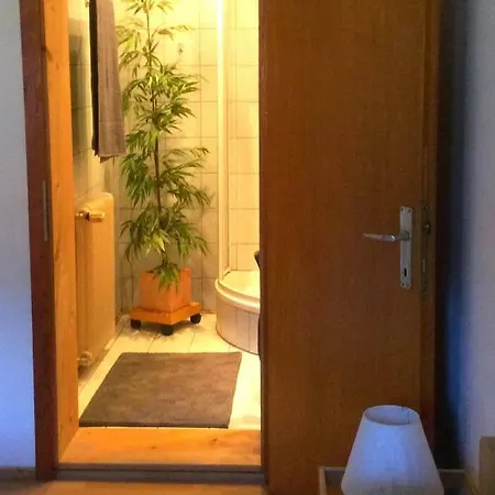 粉鹿公寓 * 哈尔施塔特