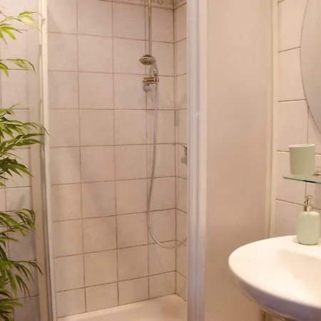 Pinkdeer 할슈타트