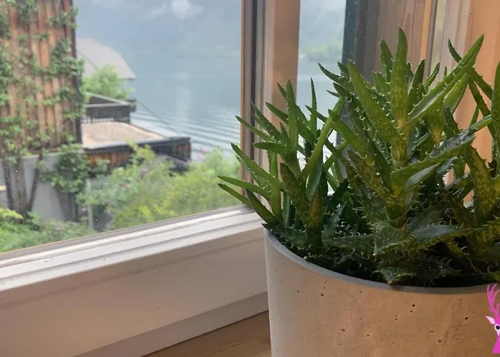 Pinkdeer * Hallstatt